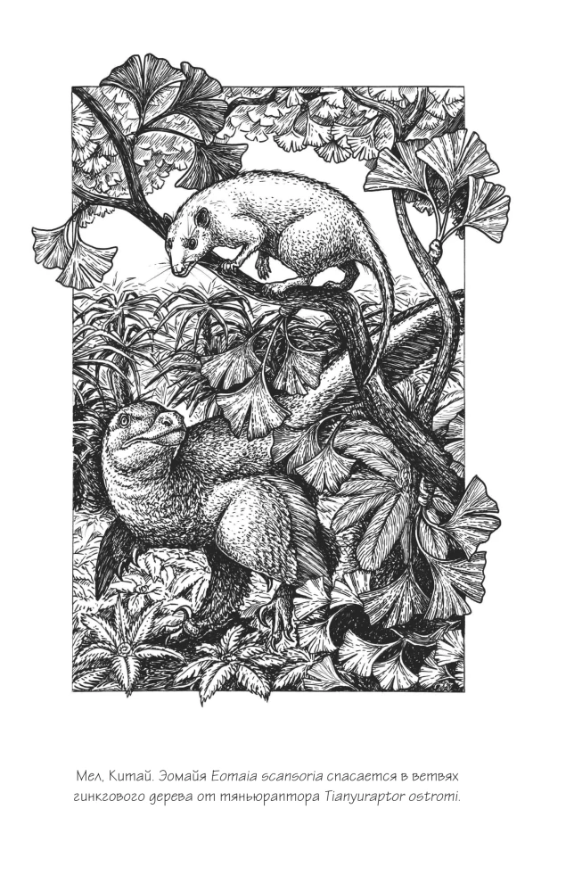 Kodėl žirafai netapo žmonėmis ir kiti evoliucijos klausimai