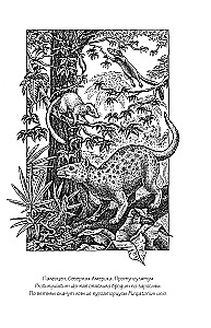 Warum wurden Giraffen nicht zu Menschen und andere Fragen der Evolution