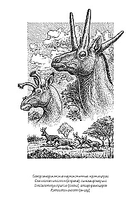 Warum wurden Giraffen nicht zu Menschen und andere Fragen der Evolution
