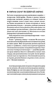 Warum wurden Giraffen nicht zu Menschen und andere Fragen der Evolution