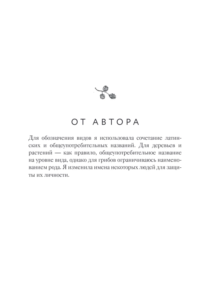 The Wisdom of the Forest. In Search of the Mother Tree and the Mysterious Connection of All Living Things