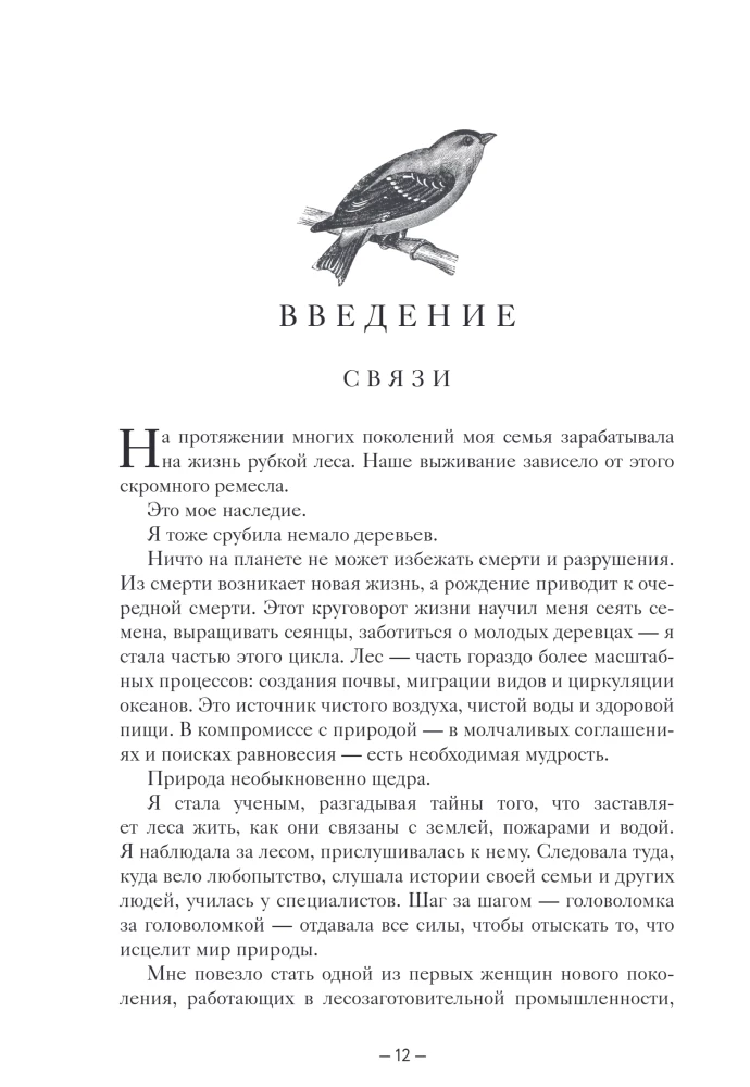 Мудрость леса. В поисках материнского древа и таинственной связи всего живого