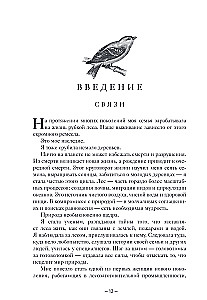 Мудрость леса. В поисках материнского древа и таинственной связи всего живого