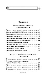 Komentarze do powieści Eugeniusz Oniegin. Biografia A. S. Puszkina
