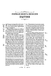 Die Bibel. Bücher der Heiligen Schrift des Alten und Neuen Testaments