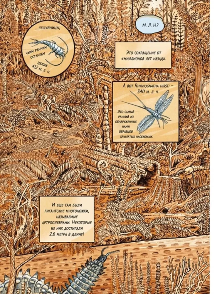 Insectopolis. The History of Insects from the Big Bang to Our Days