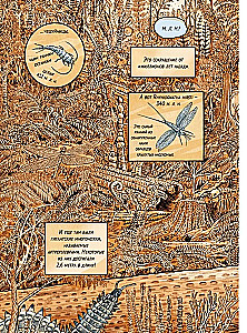 Insectopolis. The History of Insects from the Big Bang to Our Days