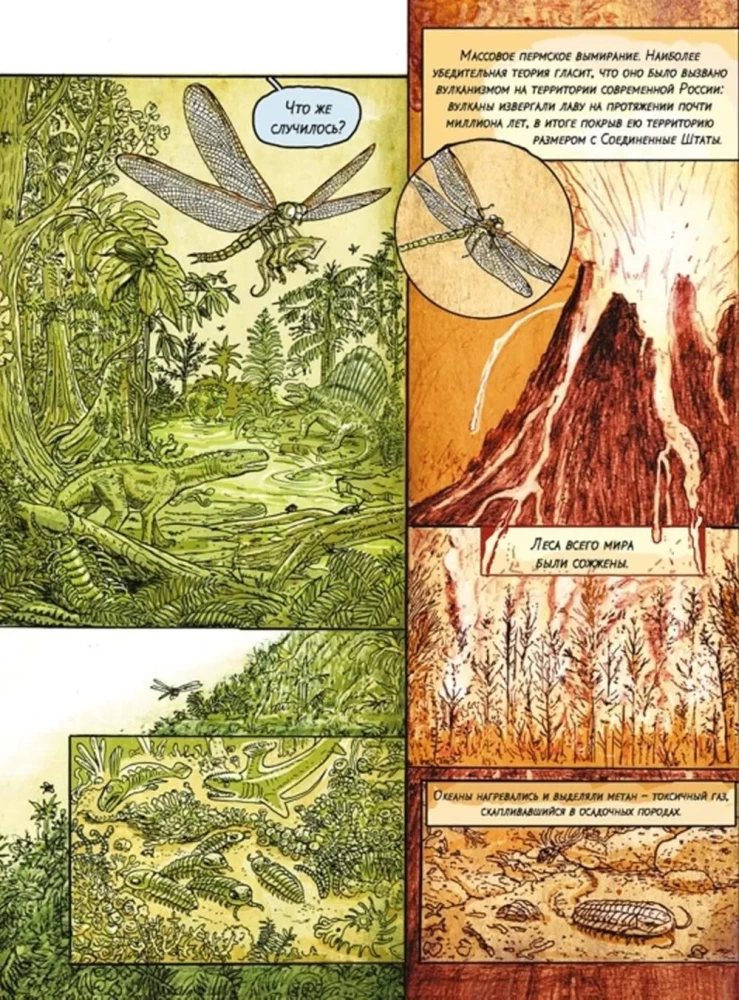 Insectopolis. The History of Insects from the Big Bang to Our Days