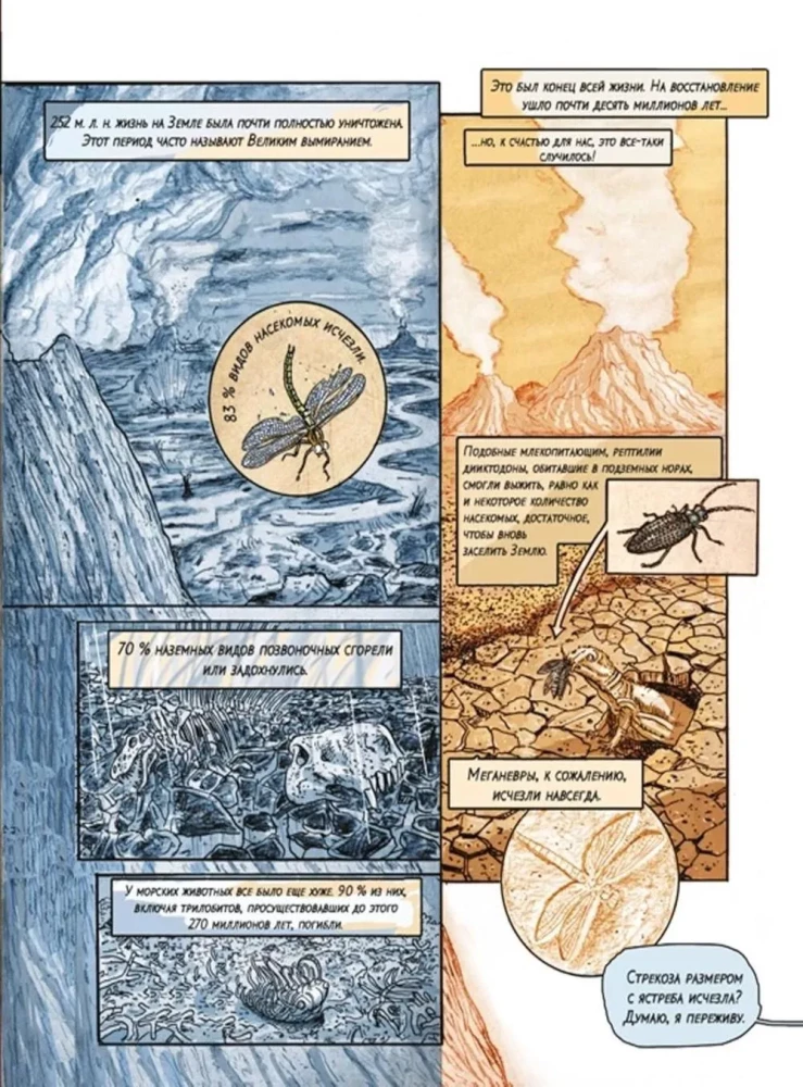 Insectopolis. The History of Insects from the Big Bang to Our Days