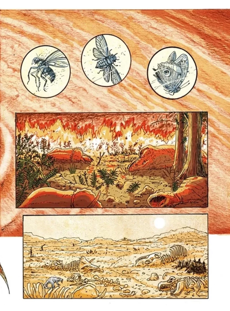 Insectopolis. The History of Insects from the Big Bang to Our Days