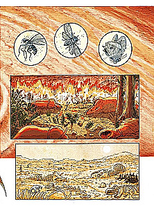 Insectopolis. The History of Insects from the Big Bang to Our Days