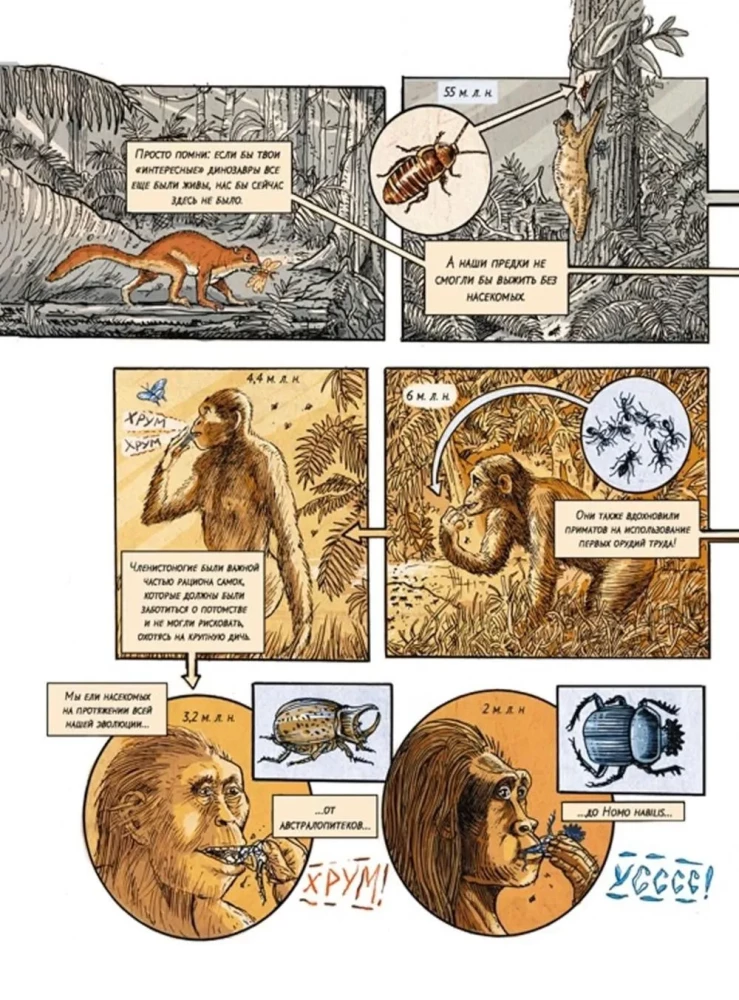 Insectopolis. The History of Insects from the Big Bang to Our Days
