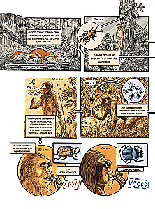 Insectopolis. The History of Insects from the Big Bang to Our Days