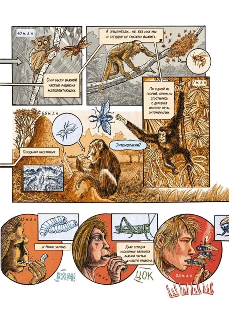 Insectopolis. The History of Insects from the Big Bang to Our Days