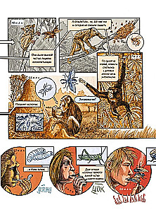 Insectopolis. The History of Insects from the Big Bang to Our Days