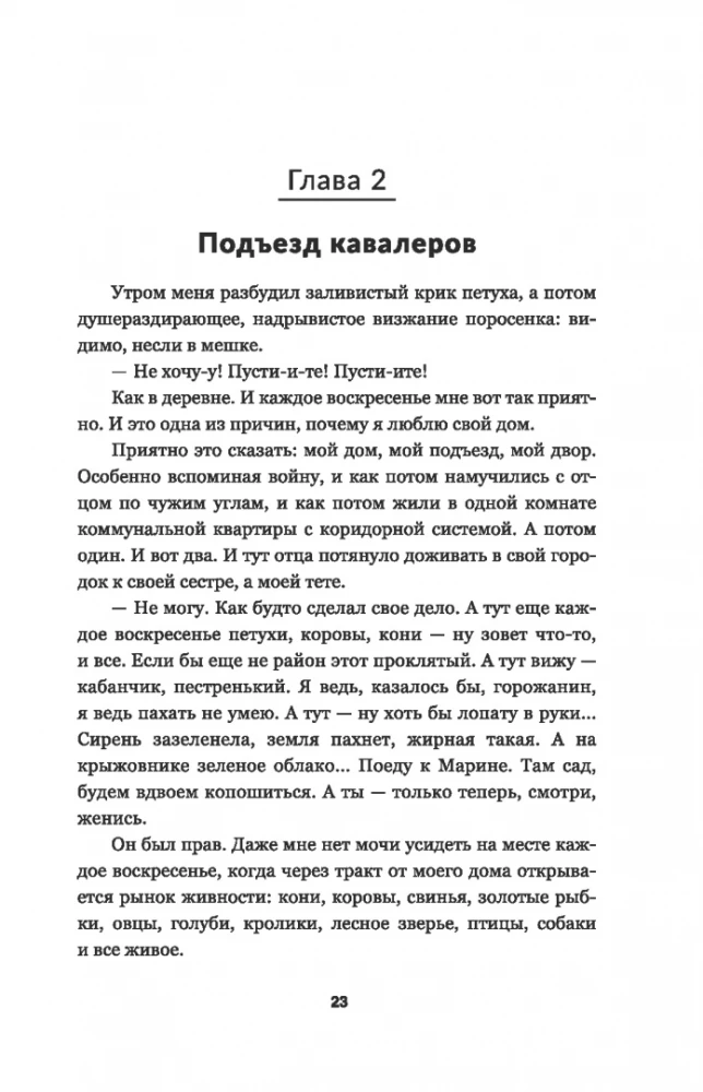 Black Olshansky Castle