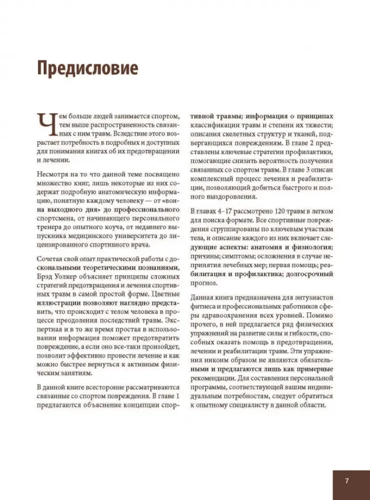 Ahnatoomia sporditrauma