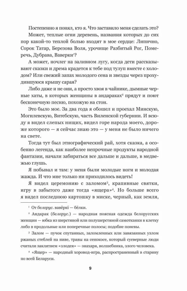 Die wilde Jagd des Königs Stach