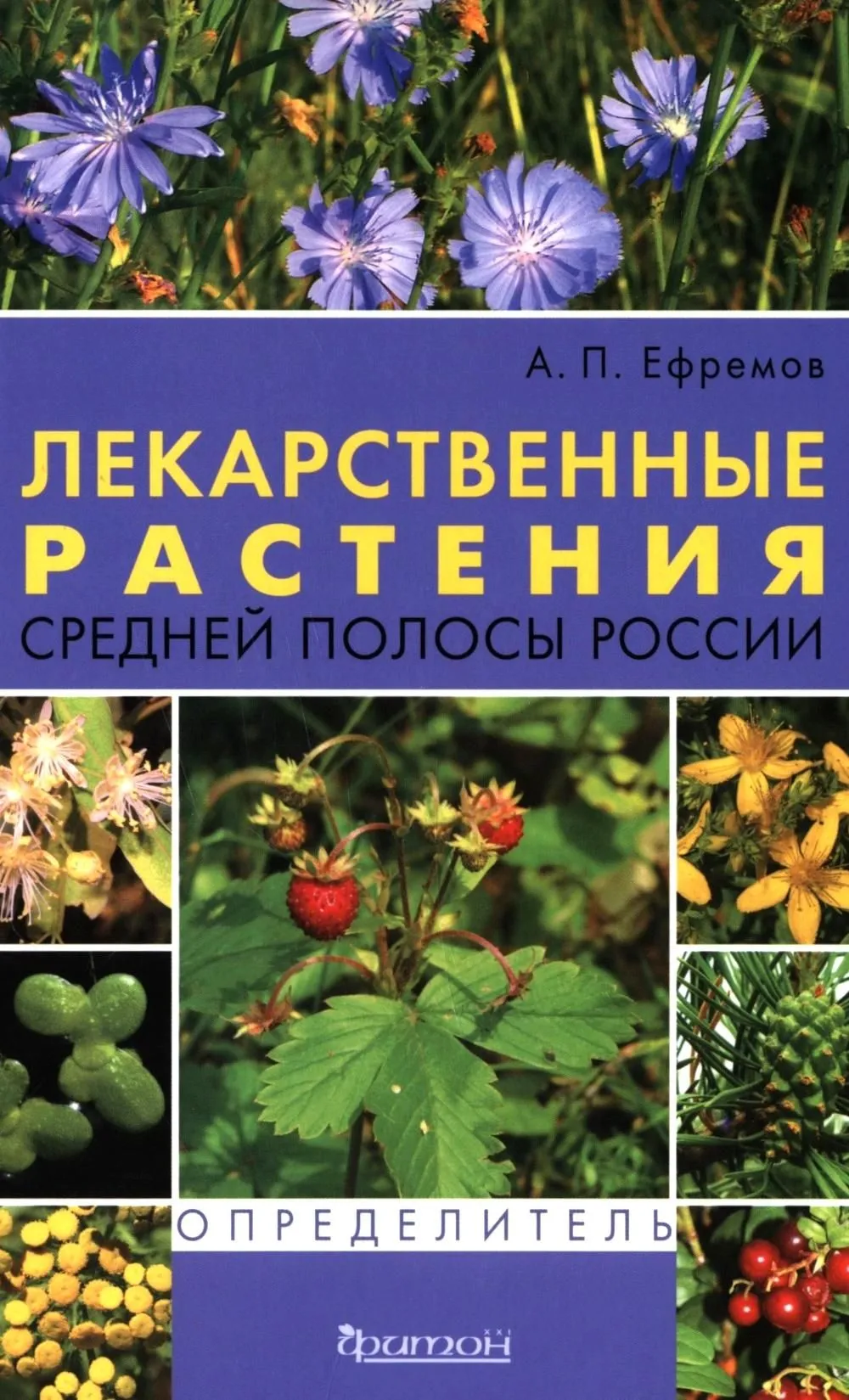 Medicinal Plants of the Central Strip of Russia. Identifier