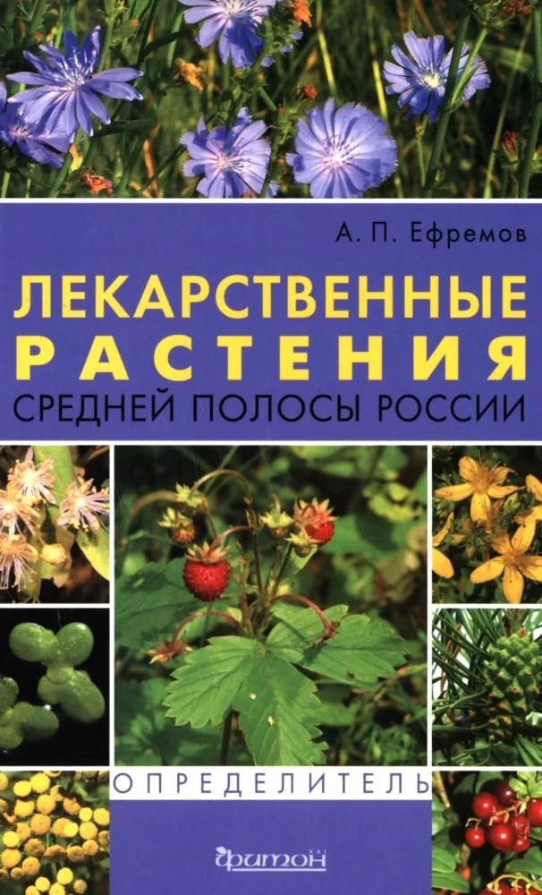 Medicinal Plants of the Central Strip of Russia. Identifier