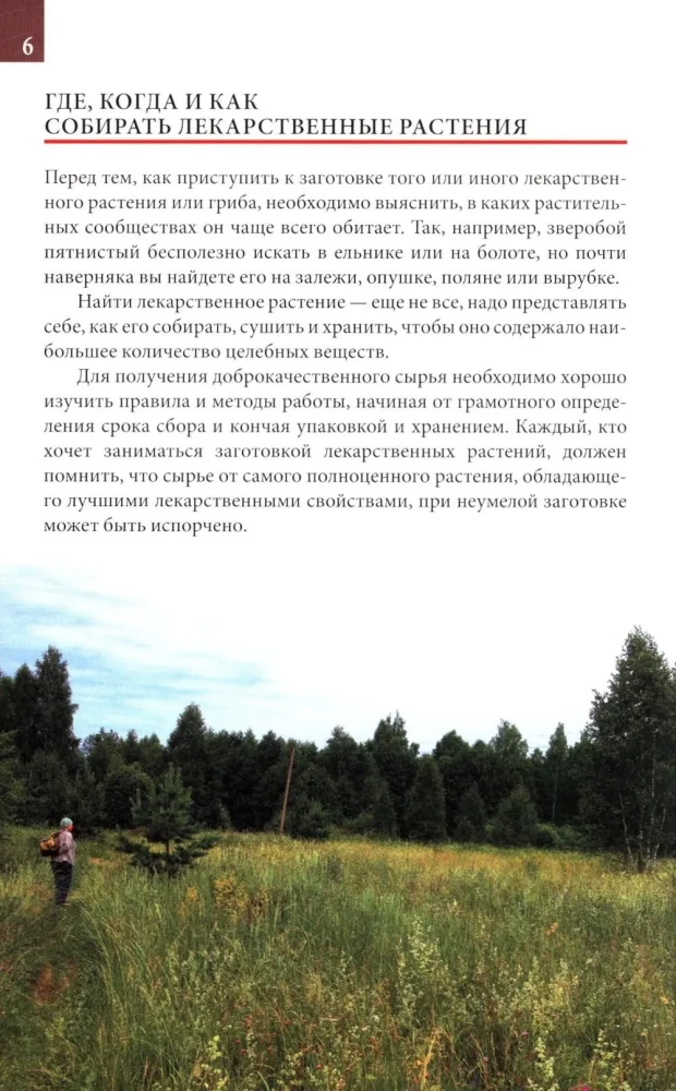 Medicinal Plants of the Central Strip of Russia. Identifier