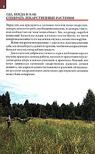 Medicinal Plants of the Central Strip of Russia. Identifier