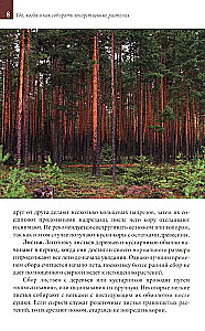 Medicinal Plants of the Central Strip of Russia. Identifier