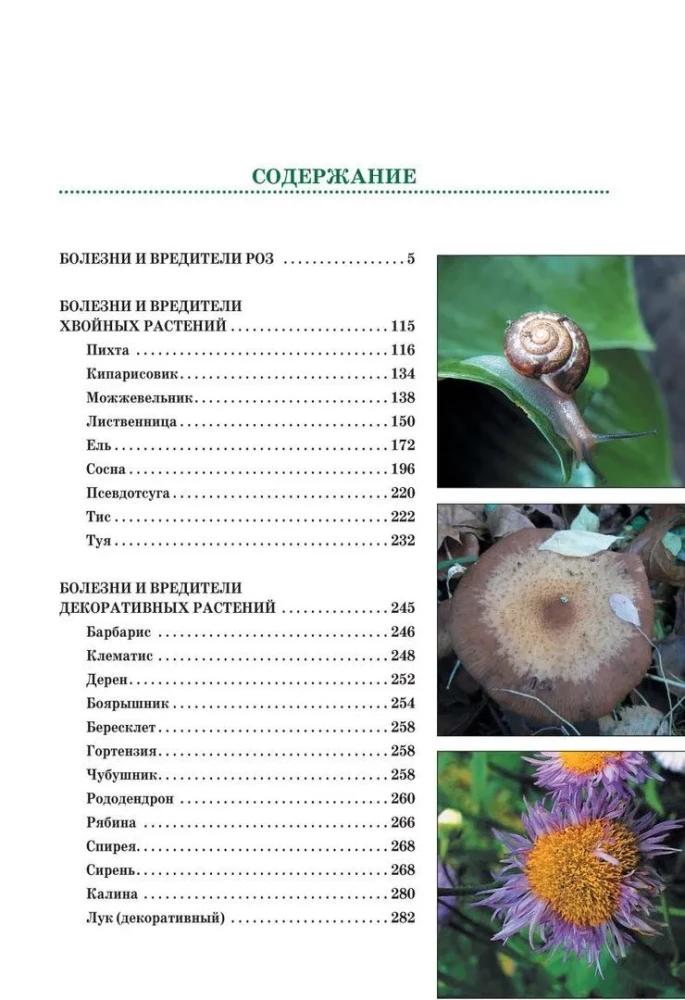 Diseases and Pests of Roses, Conifers and Other Ornamental Plants: Atlas-identifier