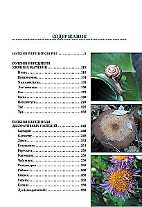 Diseases and Pests of Roses, Conifers and Other Ornamental Plants: Atlas-identifier