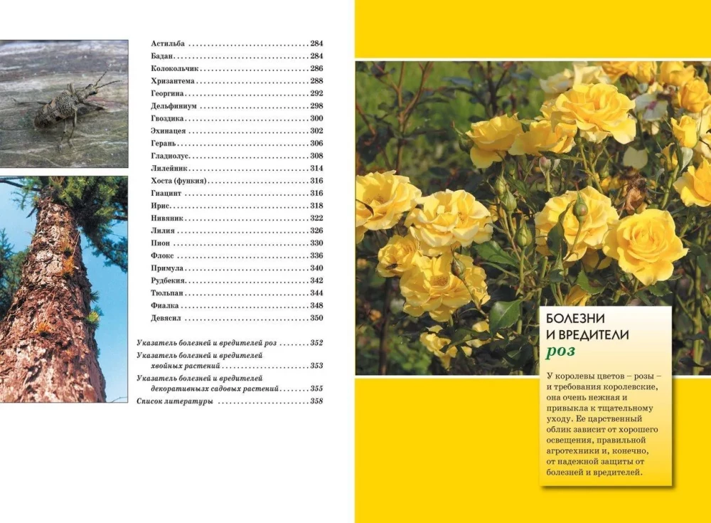 Diseases and Pests of Roses, Conifers and Other Ornamental Plants: Atlas-identifier