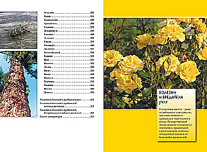Diseases and Pests of Roses, Conifers and Other Ornamental Plants: Atlas-identifier