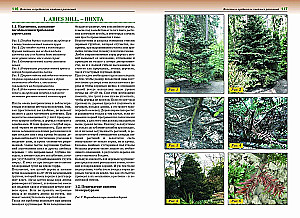 Diseases and Pests of Roses, Conifers and Other Ornamental Plants: Atlas-identifier