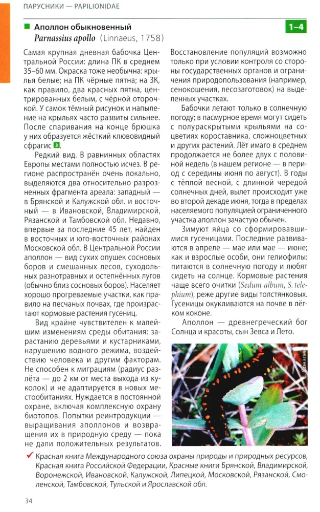 Daytime Butterflies of Central Russia. Photo Identifier