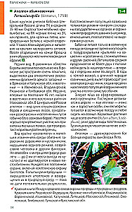 Daytime Butterflies of Central Russia. Photo Identifier