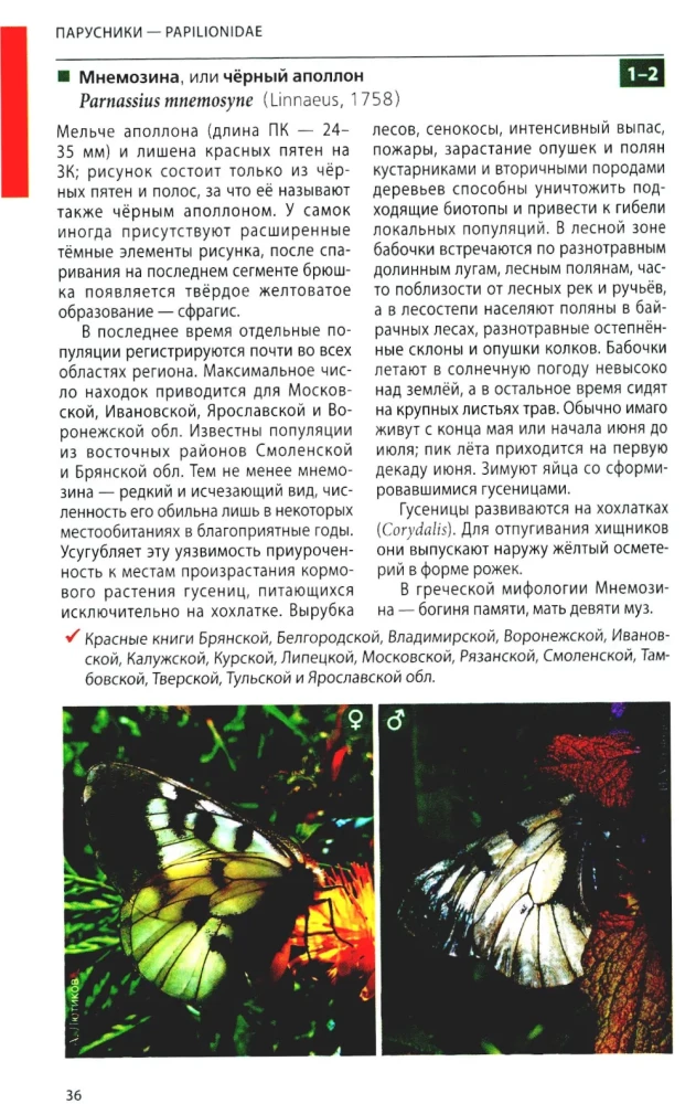 Daytime Butterflies of Central Russia. Photo Identifier