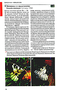 Daytime Butterflies of Central Russia. Photo Identifier