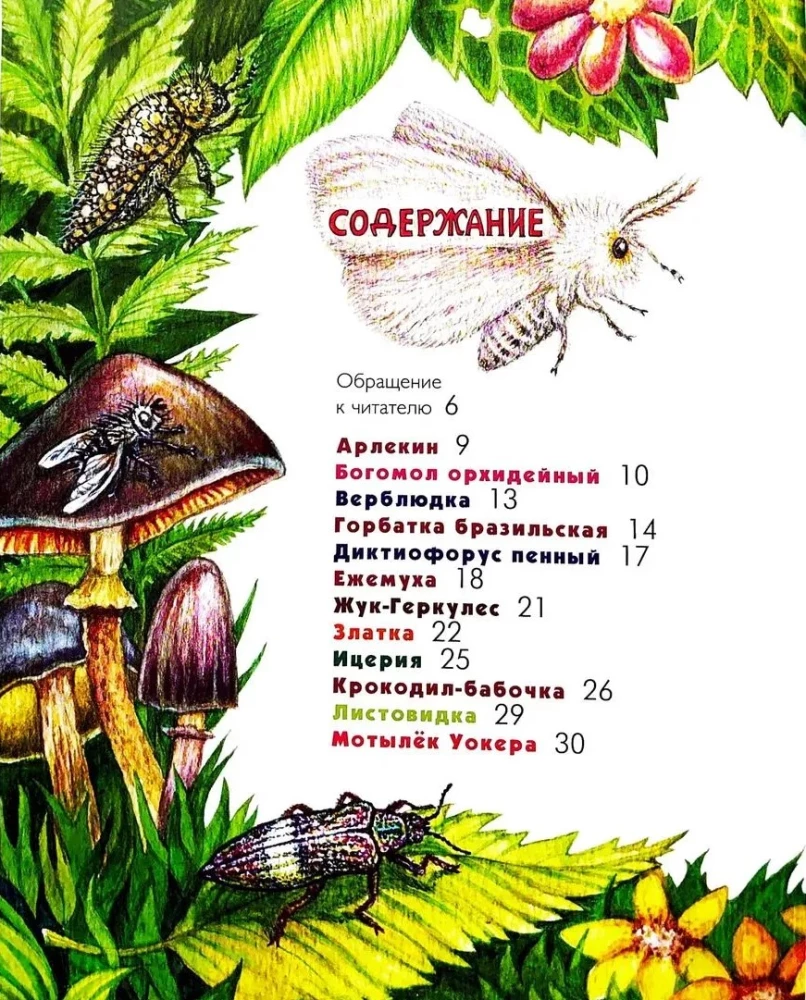 The Alphabet of Exotic Insects. For Adults and Children