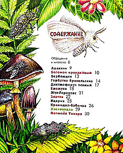 The Alphabet of Exotic Insects. For Adults and Children