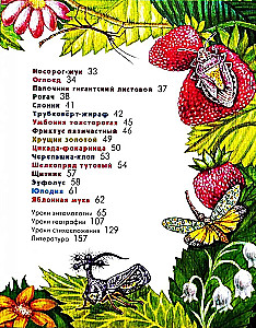 The Alphabet of Exotic Insects. For Adults and Children