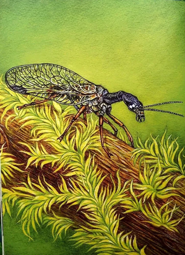 The Alphabet of Exotic Insects. For Adults and Children