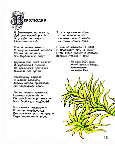 The Alphabet of Exotic Insects. For Adults and Children