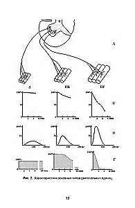 Spēka attīstība sportistiem