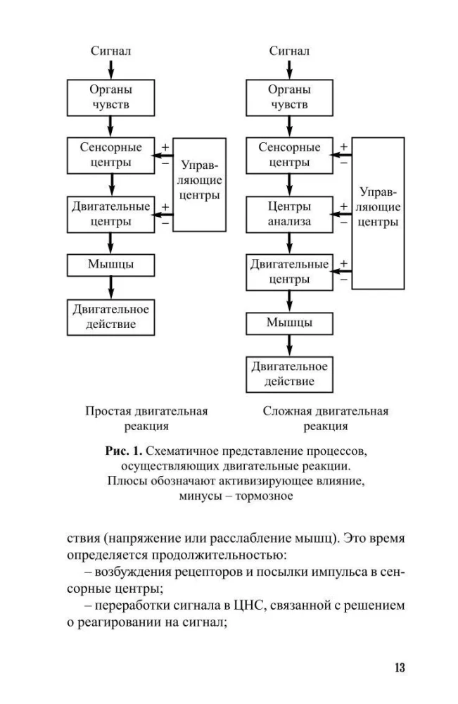 Sportistu ātruma attīstība