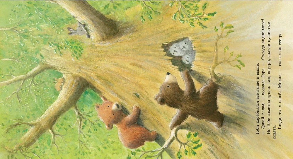 The Secret of the Brave Bear Cub