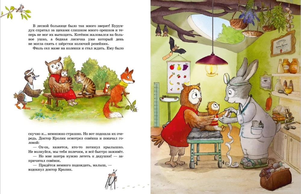 The Magical Tales of the Old Owl