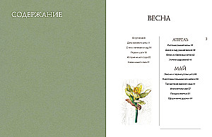 The Garden of My Dreams. A Leisurely Creation of My Place of Power