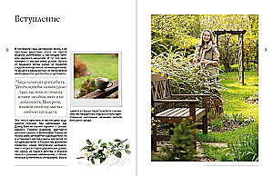 The Garden of My Dreams. A Leisurely Creation of My Place of Power