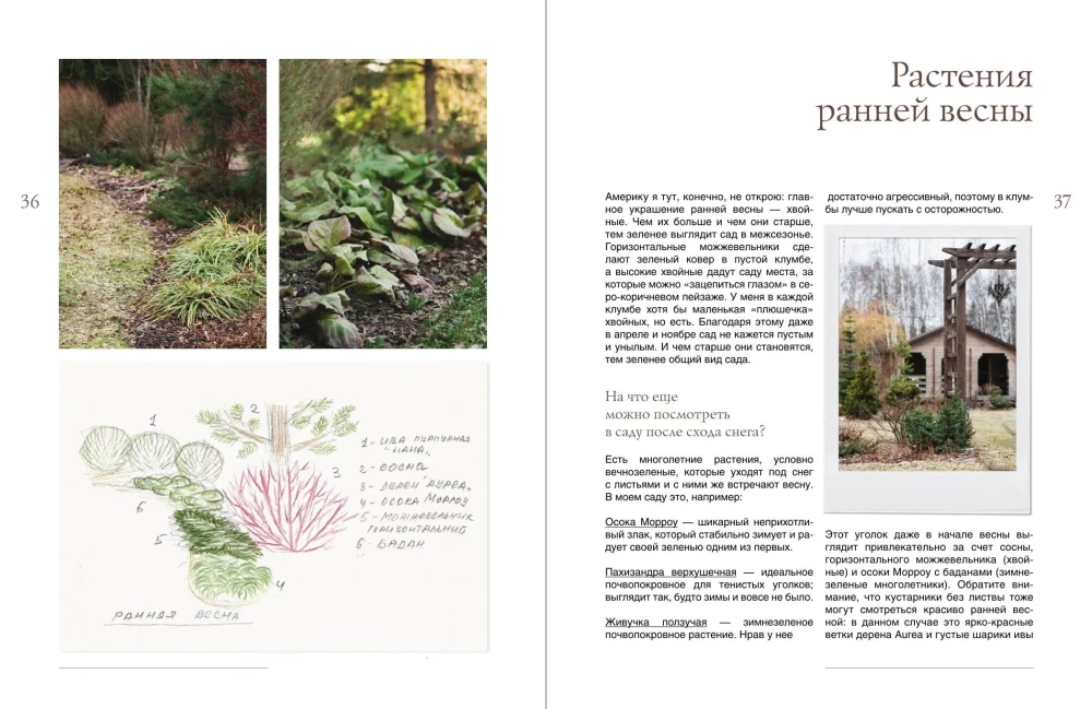 The Garden of My Dreams. A Leisurely Creation of My Place of Power