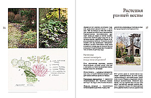 The Garden of My Dreams. A Leisurely Creation of My Place of Power