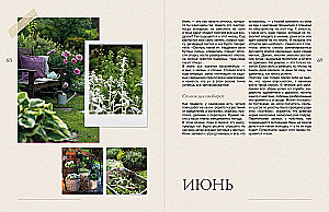 The Garden of My Dreams. A Leisurely Creation of My Place of Power